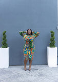 Theia Shirt Dress